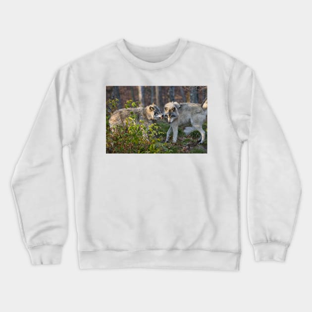 Gray Wolf Crewneck Sweatshirt by jaydee1400